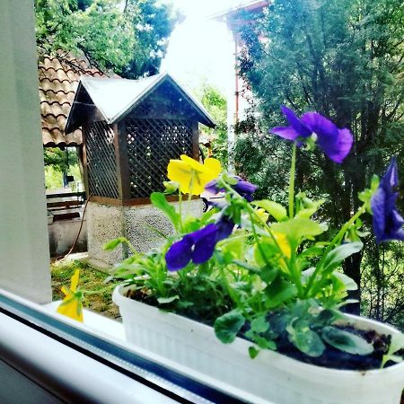 Maslina Rooms Smederevo Exterior photo