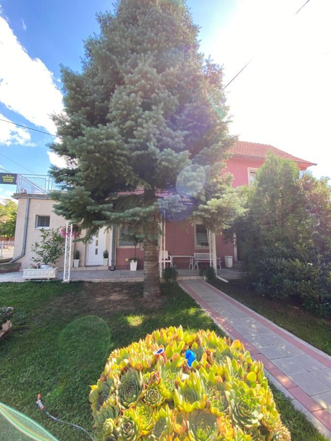 Maslina Rooms Smederevo Exterior photo